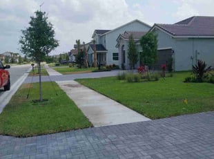 Erin C.'s lawn maintenance service result