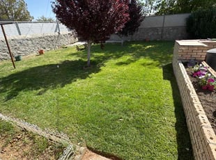 Mannie W.'s lawn maintenance service result