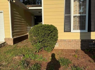 Sarah S.'s Bush Trimming service result