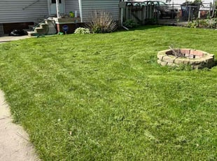 Kaybeth H.'s grass cutting service result