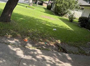 Katina K.'s grass cutting service result