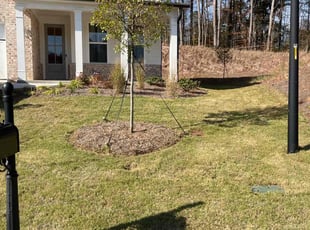 Carlene B.'s turf maintenance service result