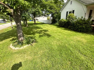 Teresa E.'s grass cutting service result