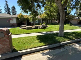 Debbie R.'s lawn maintenance service result