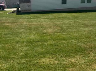 Elida S.'s lawn service service result