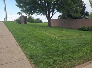 Anne P.'s lawn care service result