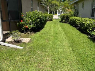 Karen S.'s grass cutting service result