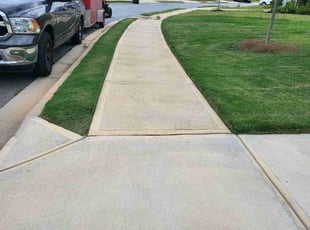 Carolyn K.'s turf care service result