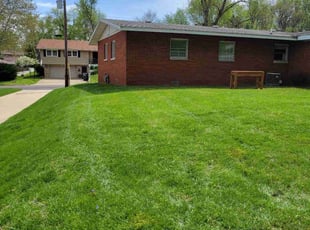 Deena B.'s lawn service service result