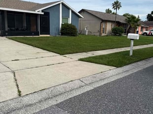 Christy U.'s grass cutting service result