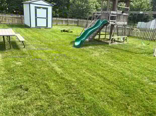 Roberta B.'s landscaping services service result