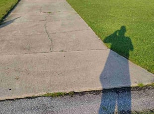 Sharion S.'s grass cutting service result