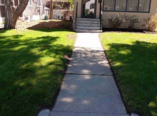 Denise B.'s lawn care service result