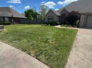 Phyllis T.'s lawn care services service result