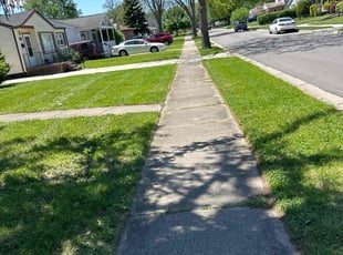 Sal P.'s grass maintenance service result