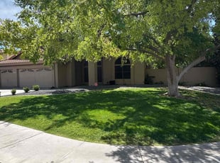 Sheila M.'s turf maintenance service result