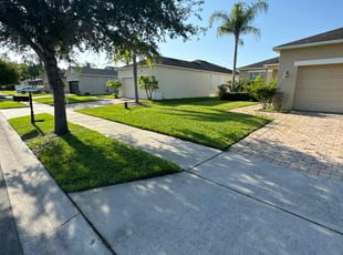 Luther P.'s lawn service service result