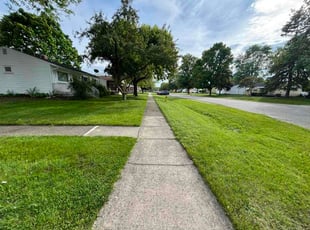 Mark W.'s lawn service service result