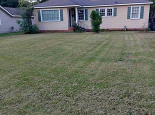 Leon S.'s lawn care service result