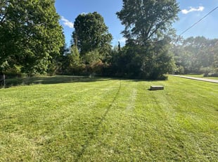 Thomas S.'s grass maintenance service result