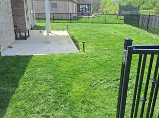 Regi C.'s yard work service result