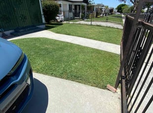 Laverne M.'s grass cutting service result