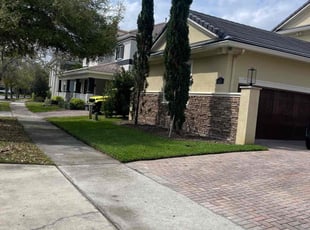 Joann T.'s turf care service result