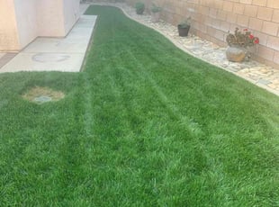 Christian H.'s lawn service service result