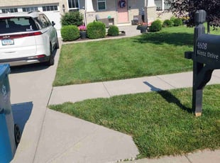 Tim M.'s turf maintenance service result