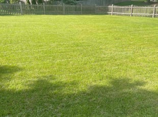 John M.'s lawn care service result