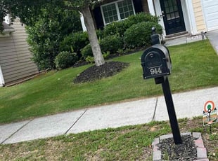 Sheri S.'s grass maintenance service result
