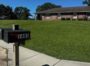 Pierrie S.'s grass cutting service result