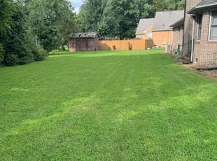 Haibibe V.'s turf care service result