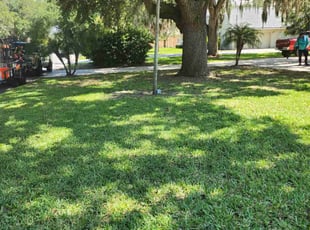 Lindsey M.'s grass maintenance service result