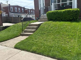 Marinda R.'s turf care service result