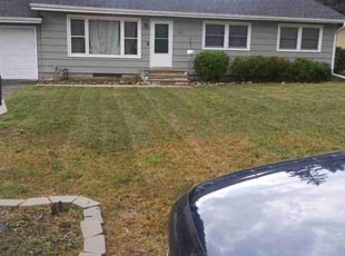 Muna O.'s turf care service result