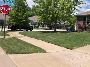 Ben D.'s lawn maintenance service result