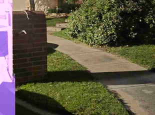 Rolfe W.'s turf care service result