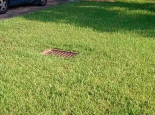 Barbara S.'s lawn service service result