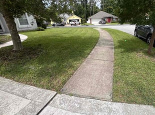 Ryan P.'s turf maintenance service result