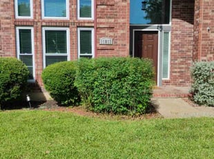 Scott B.'s Bush Trimming service result