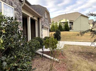 Debra H.'s Bush Trimming service result