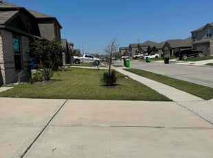 Georgina R.'s lawn care services service result