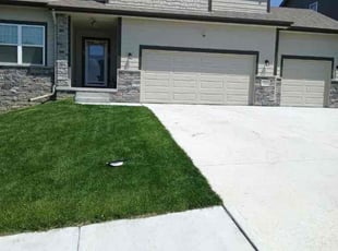 Kristy Z.'s lawn care service result