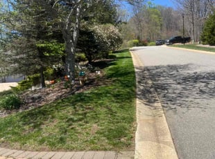 Rachael F.'s lawn care services service result