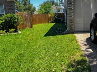 Judy V.'s turf maintenance service result