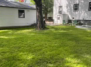 Melissa A.'s turf care service result