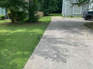 Greg W.'s grass maintenance service result