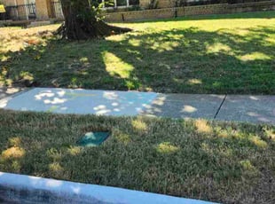 Rajbir D.'s lawn maintenance service result