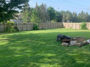 Patricia N.'s grass cutting service result